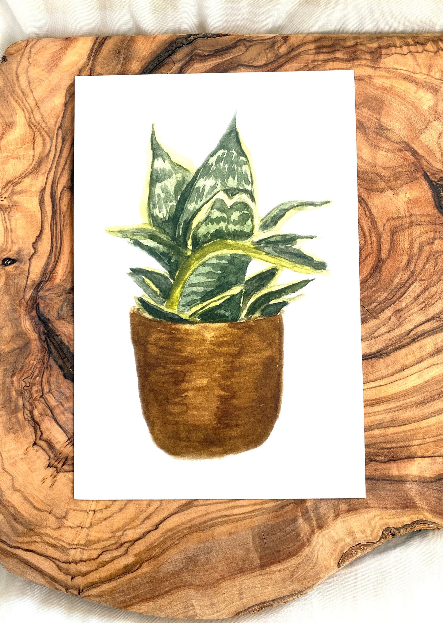 Watercolor Botanical Art - Snake Plant Watercolor Print - Living Room Wall Art