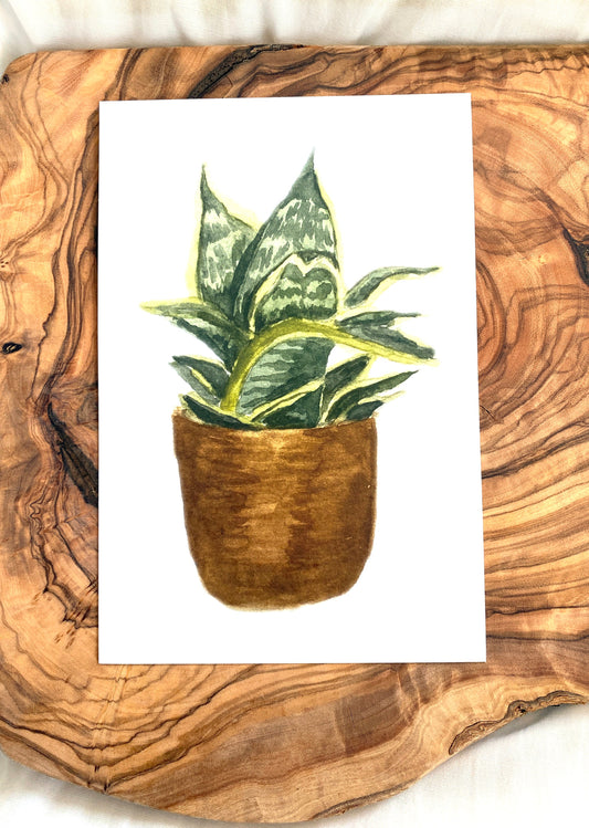 Watercolor Botanical Art - Snake Plant Watercolor Print - Living Room Wall Art