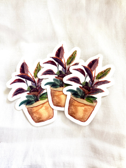 Waterproof Vinyl Plant Sticker - Watercolor Rubber Tree Sticker - Laptop Sticker - Water Bottle Sticker - Dishwasher Safe