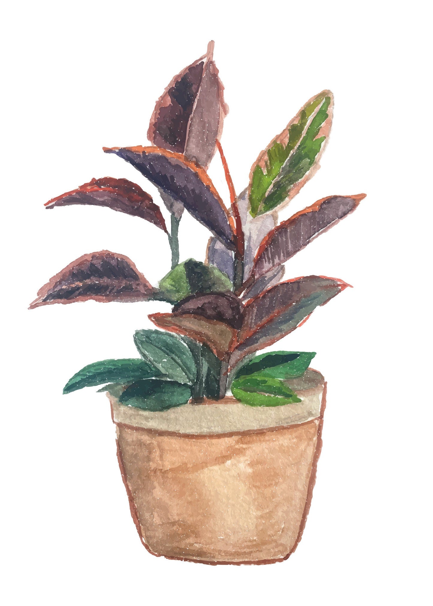 Rubber Tree Watercolor Print
