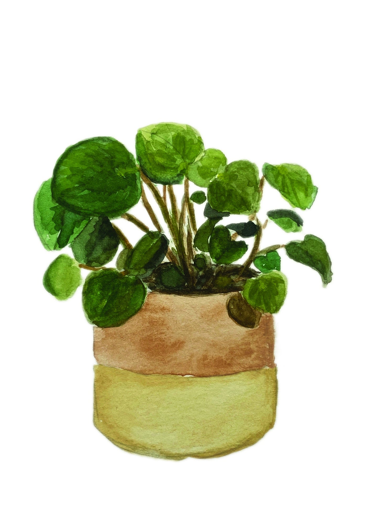 Pilea Plant Watercolor Print - Botanical Art Print - Greenery Wall Art Decor