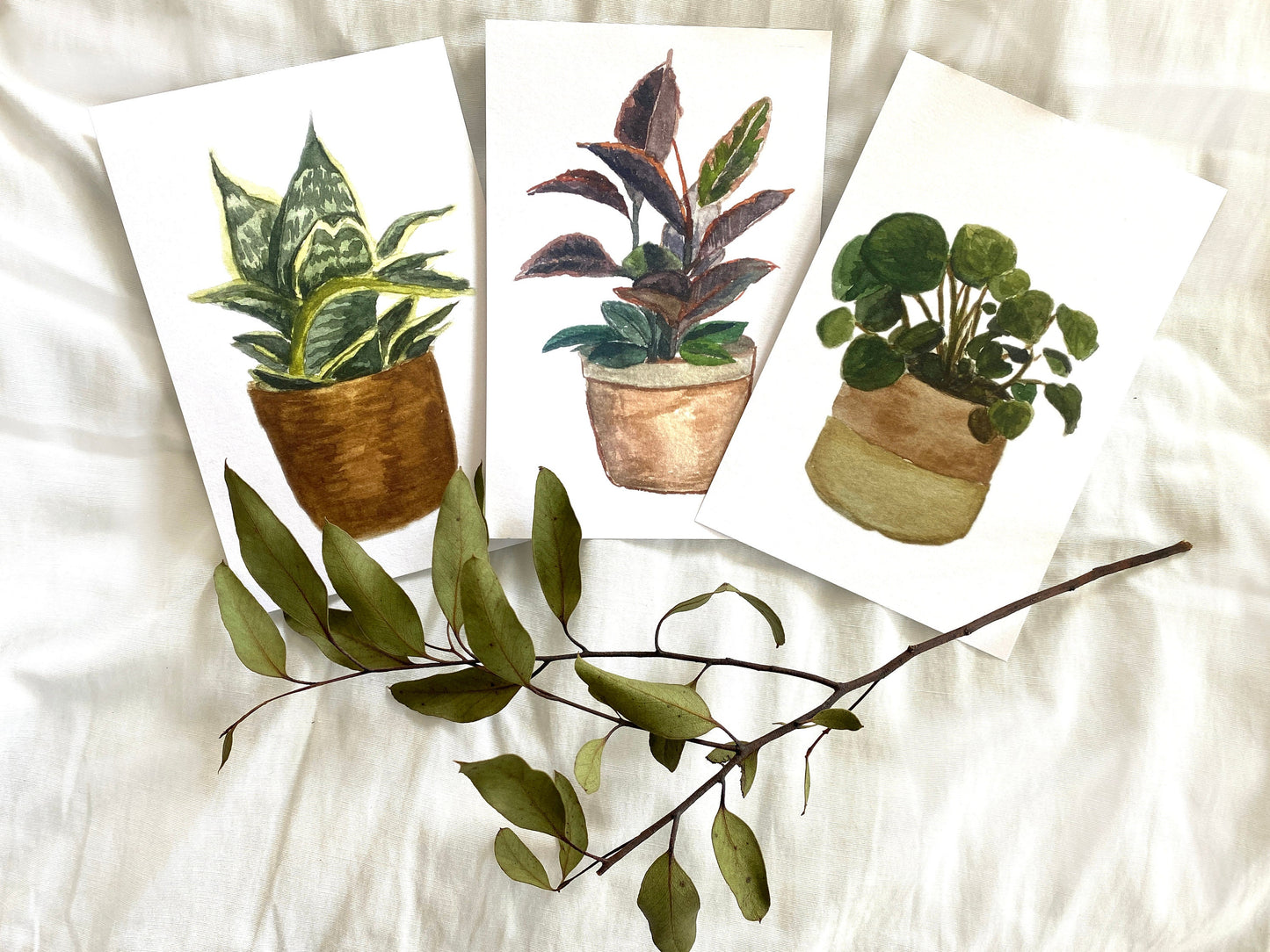 Pilea Plant Watercolor Print - Botanical Art Print - Greenery Wall Art Decor