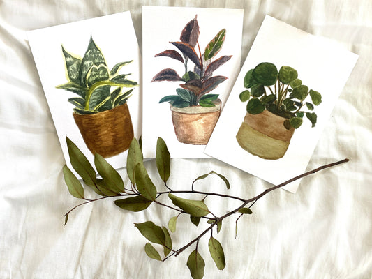 Watercolor Plant Print Set of 3 - Boho Art Set of 3 - Watercolor Plants - Plant Lover Gift Set - Dorm Decor