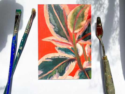 Red rubber tree - 5” x 7” art print - plant art print